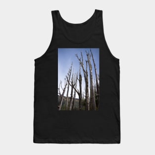 tree trunks Tank Top